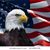 Bryan Heavener's profile image