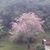 WF Wilmar Jorge's profile image