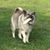 Vickie H. Oakley's profile image