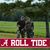 Bo Clark's profile image