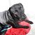 Sylvia Lynn Smith's profile image