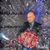 Diego Lara's profile image
