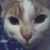 Julie Krupp Birkeland's profile image