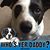 Jeff Leroch's profile image