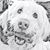 Paulette Kind-Zacharek's profile image