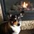Amy McGuire Henson's profile image