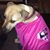 Jennifer Hochstein's profile image
