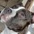 Gina McLaughlin's profile image