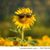 Jan Reece's profile image