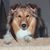 Kathy Caradonna's profile image