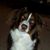 Janice Cash's profile image