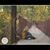 Morgan M Fulk's profile image