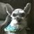 Robyn Orchard's profile image