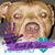 Kristi Jones's profile image