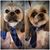 Sue Walker's profile image