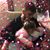 Amy Gyure Zitelli's profile image