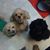 Ruth Ann Rigby's profile image