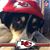 Lynnette Cameron Malone's profile image