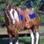 Angela Kilcup's profile image