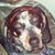 Jason Middleton's profile image