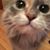Allison Brammer's profile image