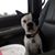 Jeri Storment's profile image