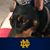 Tina Gordon-Mynsberge's profile image