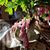 Beth Royer Gainer's profile image