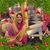 Debbie Sawyer Saroff's profile image