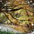 Sarah Brucker Rice's profile image