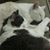 Kerri Luker's profile image