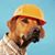 Lilreggie Montoya's profile image