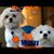 Eileen McDermott Hartfelder's profile image
