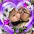 Allison Shelley's profile image