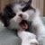 Louise Basia Burns's profile image