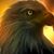 Addlore Johnson's profile image
