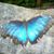 Holly Labelle's profile image