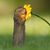 Kim Henderson's profile image