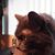 Heather Livings's profile image