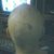 Denise Botiglione's profile image