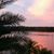 Lori Gentry Wilson's profile image