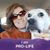 Pamela Dianne Kenwood's profile image