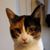 Frances Armstrong's profile image
