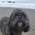 Rhonda Eggleston's profile image
