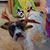 Benjamin Ocasio Jr.'s profile image
