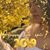 Cydney Taylor's profile image