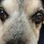Dale Dallman Jr.'s profile image