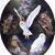 Dodi Aguiar's profile image