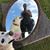 Sarah Zinger's profile image