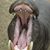 Janet Bishop's profile image